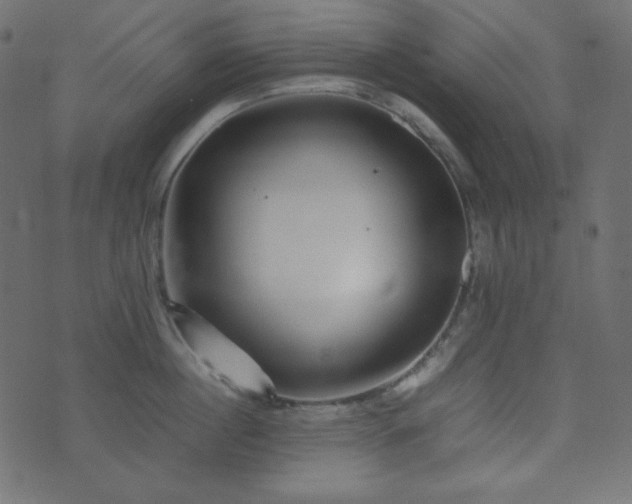 X0000074310860200608251234