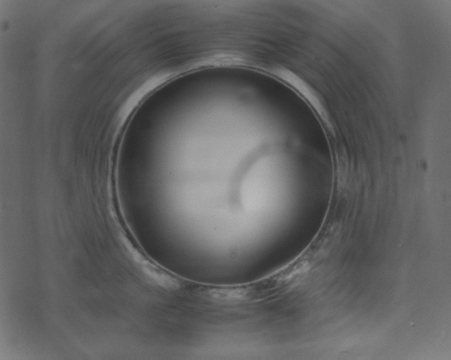 X0000074310861200608251234