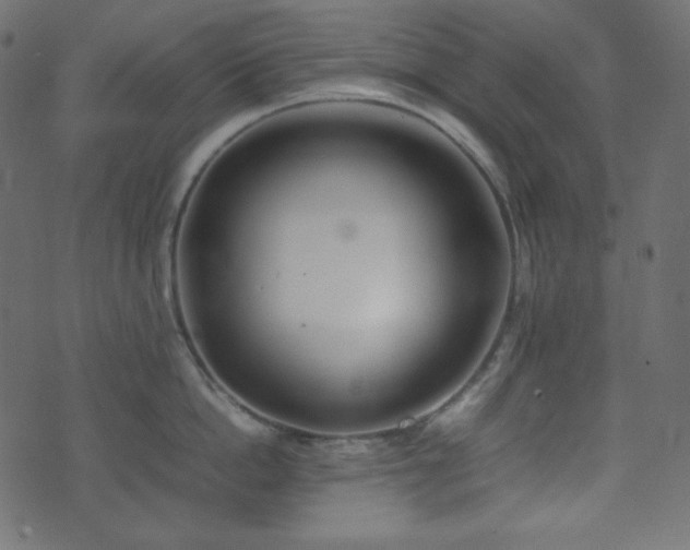 X0000074310862200608251234