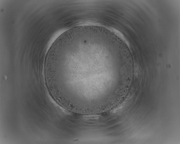 X0000074310863200608251234