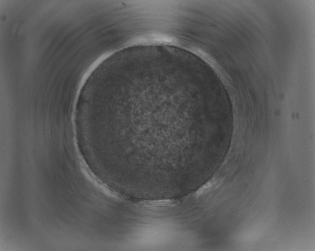 X0000074310864200608251234