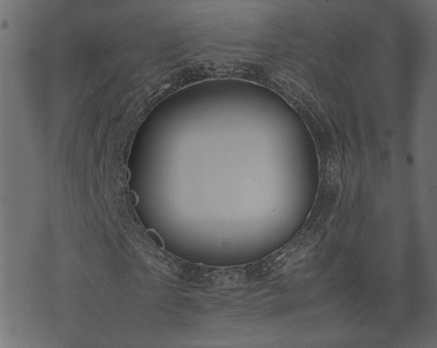 X0000074310865200608251233