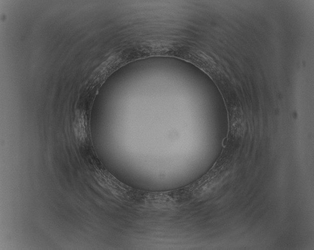 X0000074310866200608251233