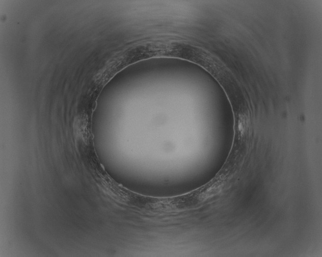 X0000074310867200608251233