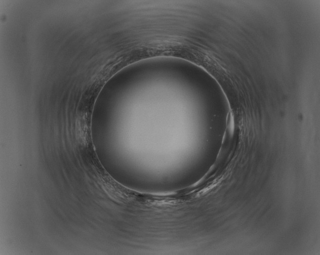 X0000074310868200608251233