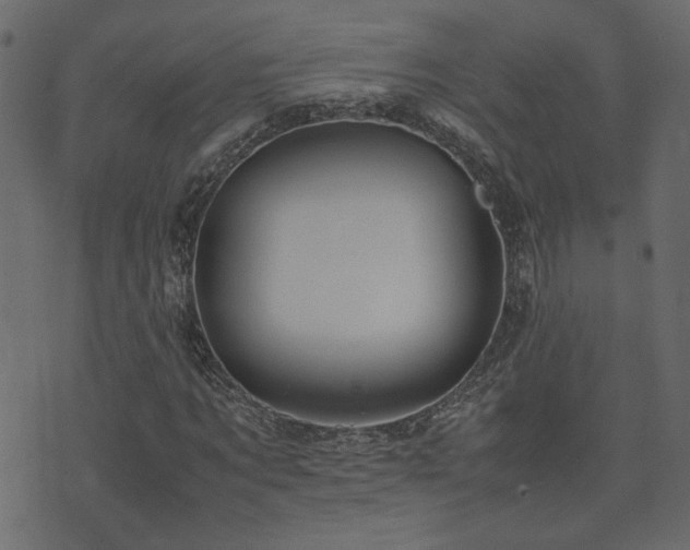 X0000074310869200608251233