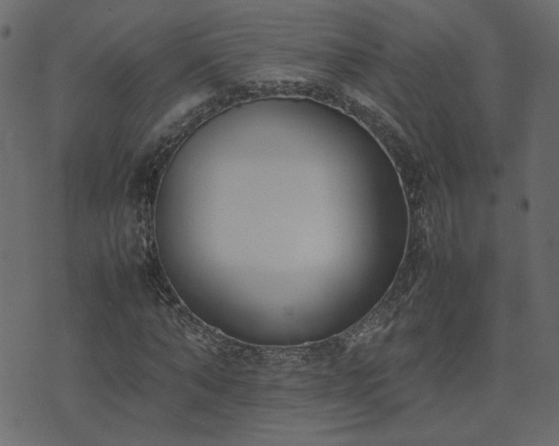 X0000074310870200608251233