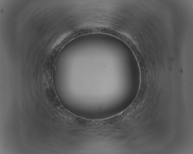 X0000074310871200608251233