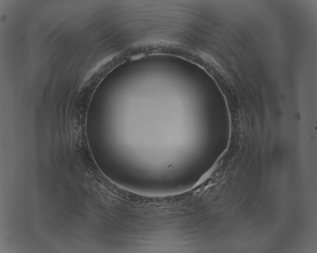 X0000074310872200608251233