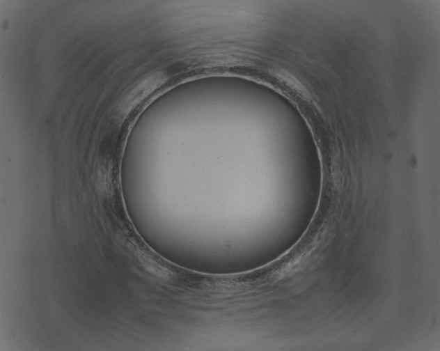 X0000074310873200608251233