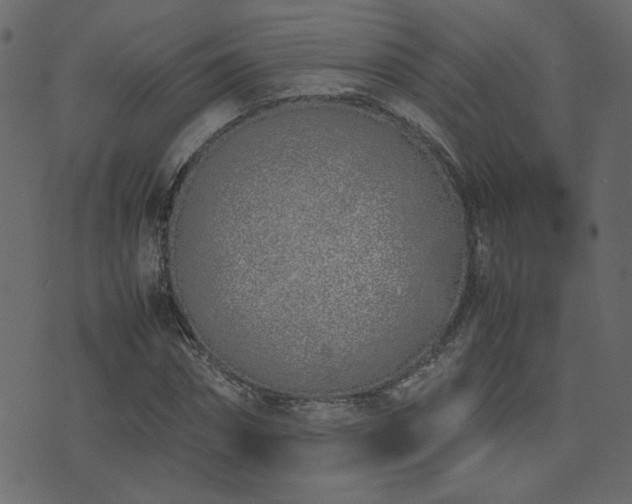 X0000074310874200608251233