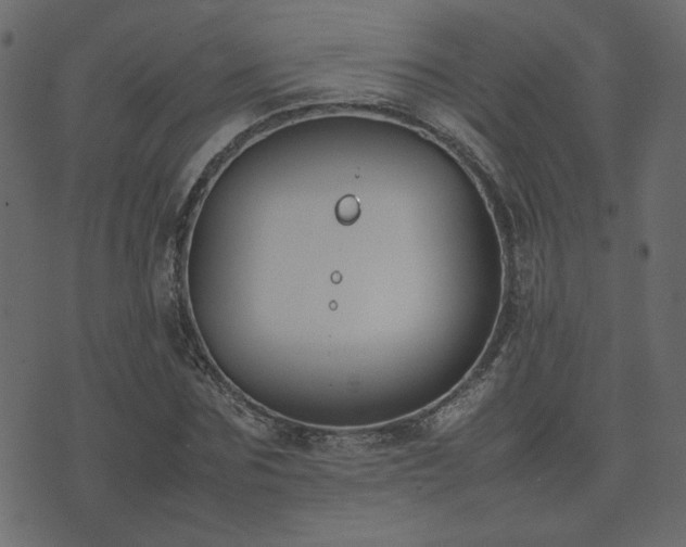 X0000074310875200608251233