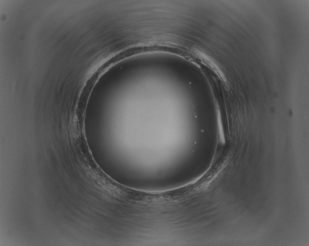 X0000074310876200608251233