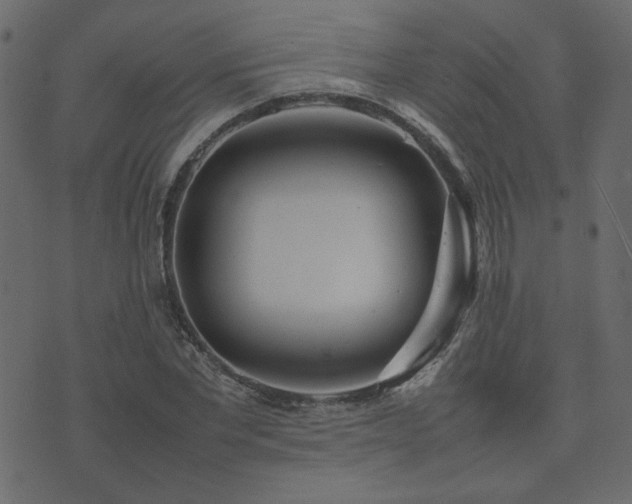 X0000074310877200608251233