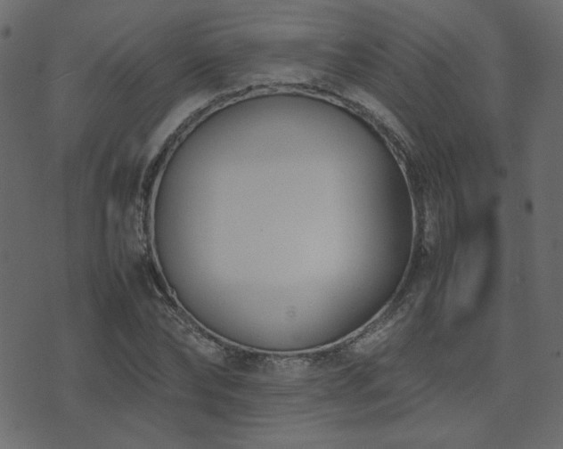 X0000074310878200608251233