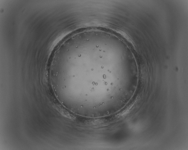 X0000074310879200608251233