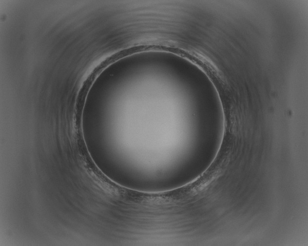 X0000074310880200608251233