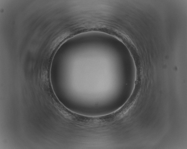 X0000074310881200608251233