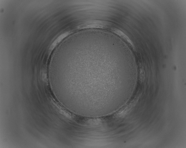 X0000074310882200608251233