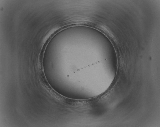 X0000074310883200608251233