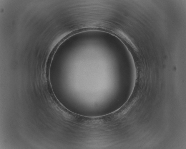 X0000074310884200608251233