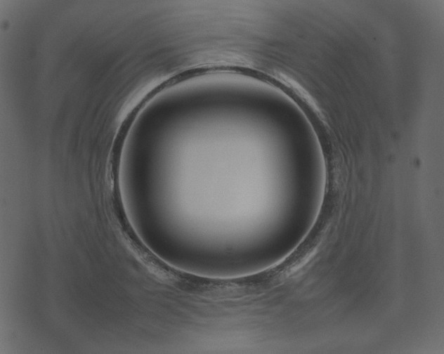 X0000074310885200608251233