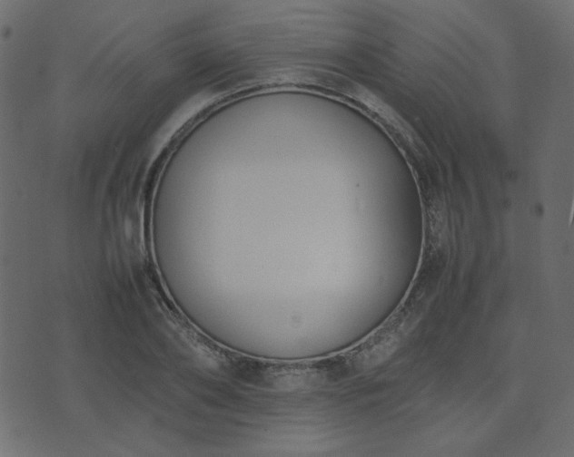 X0000074310886200608251233