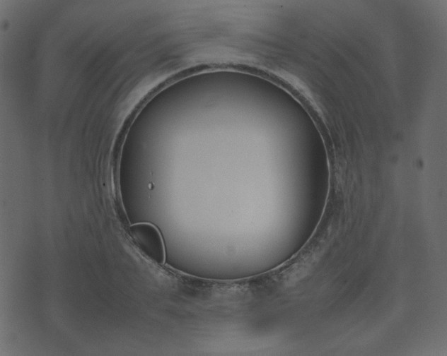 X0000074310887200608251233