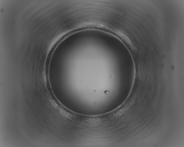 X0000074310888200608251233