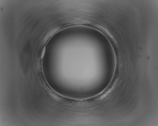 X0000074310889200608251233