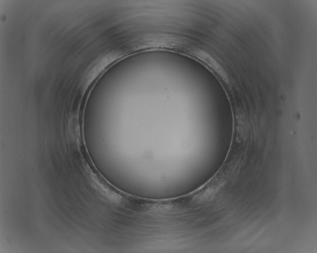 X0000074310890200608251233