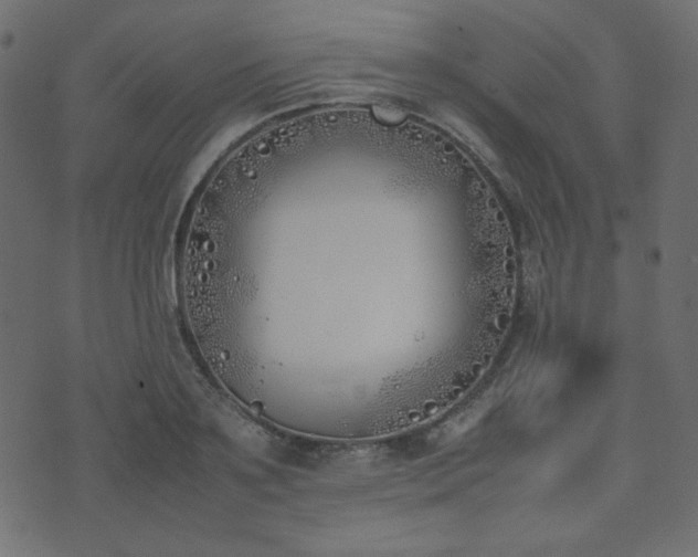 X0000074310891200608251233