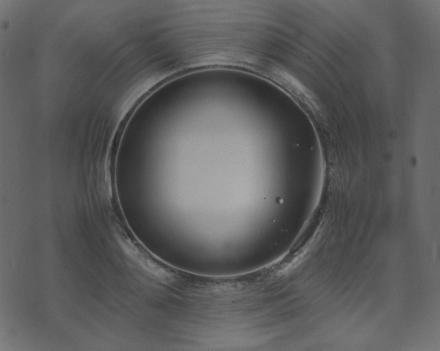 X0000074310892200608251233