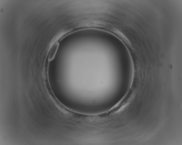 X0000074310893200608251233