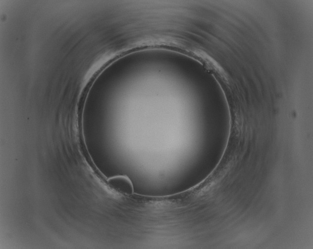 X0000074310894200608251233