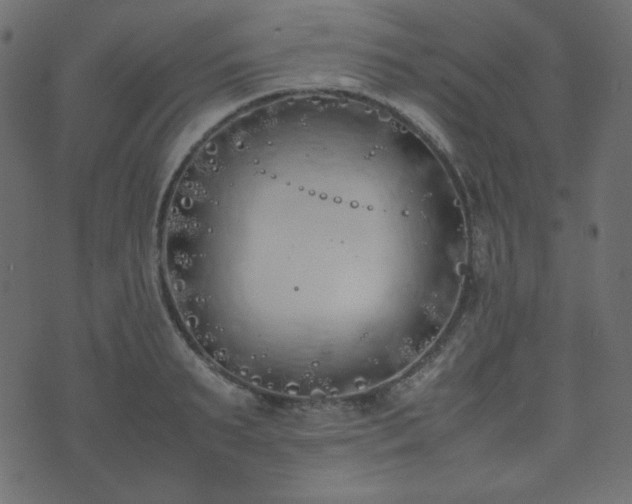 X0000074310895200608251233