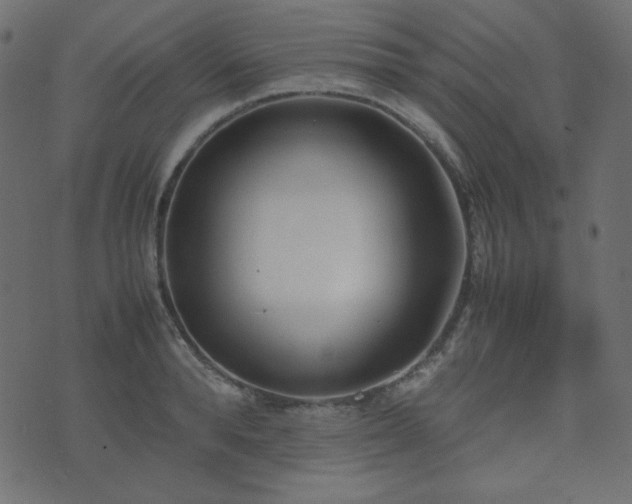 X0000074310896200608251233