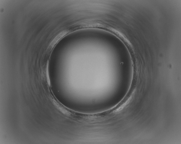 X0000074310897200608251233