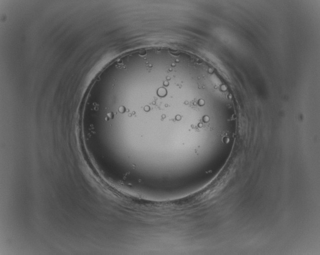 X0000074310899200608251232