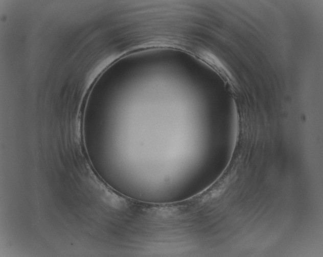 X0000074310900200608251232