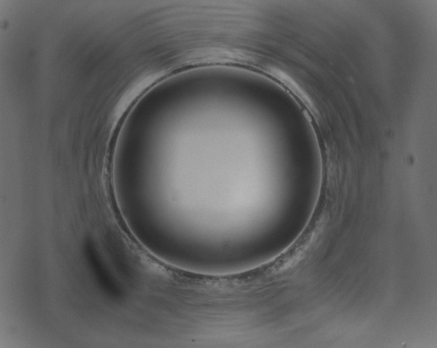 X0000074310901200608251232