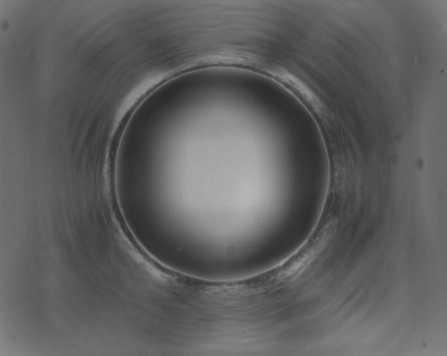 X0000074310902200608251232