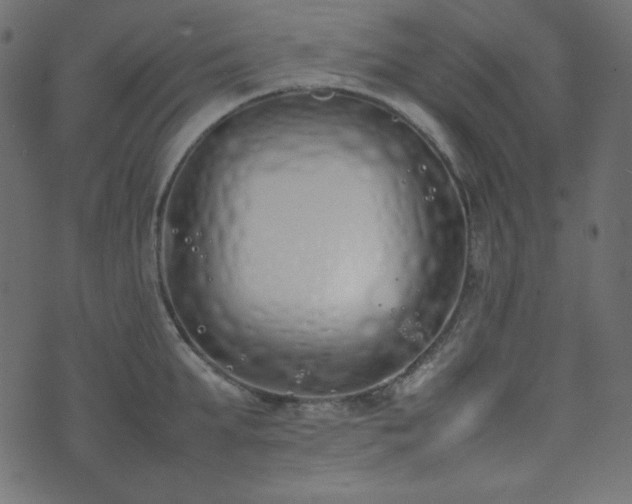 X0000074310903200608251232