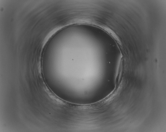 X0000074310904200608251232