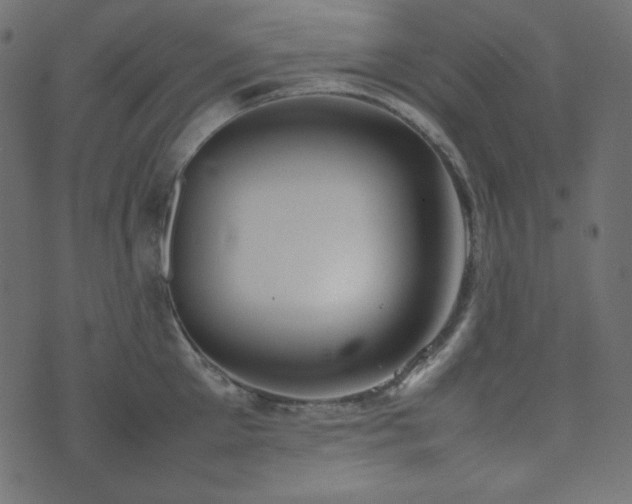 X0000074310905200608251232