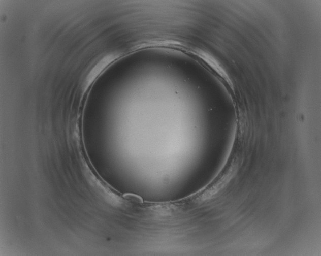 X0000074310906200608251232