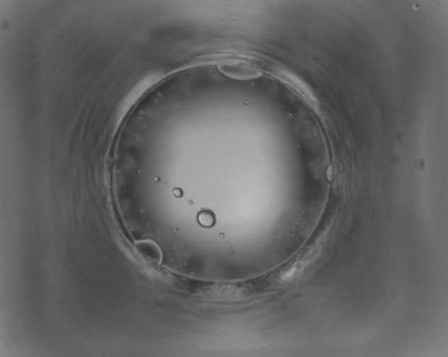 X0000074310907200608251232