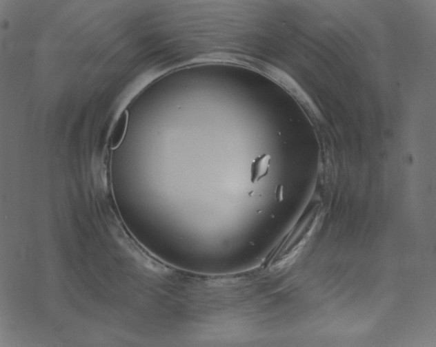 X0000074310908200608251232