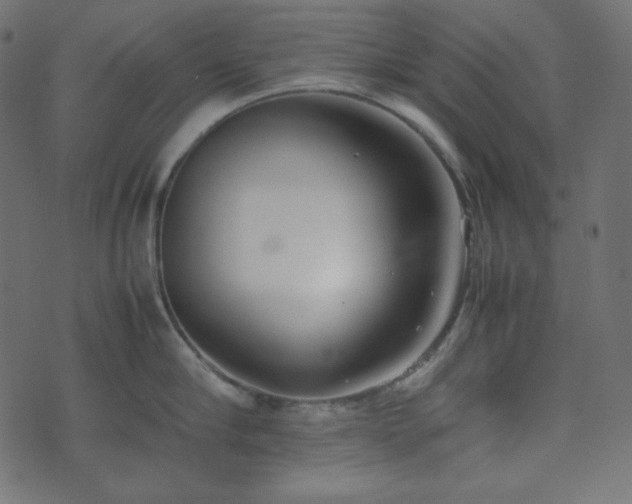 X0000074310910200608251232