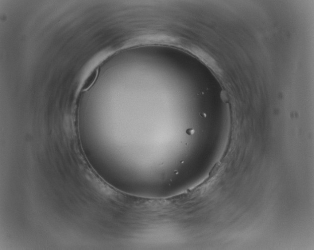 X0000074310912200608251232